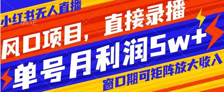 风口项目，小红书无人直播带货，直接录播，可矩阵，月入5w+【揭秘】-讯领网创