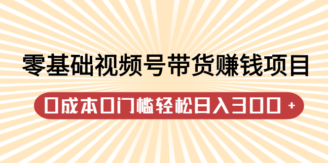 零基础视频号带货赚钱项目，0成本0门槛轻松日入300+【视频教程】-讯领网创