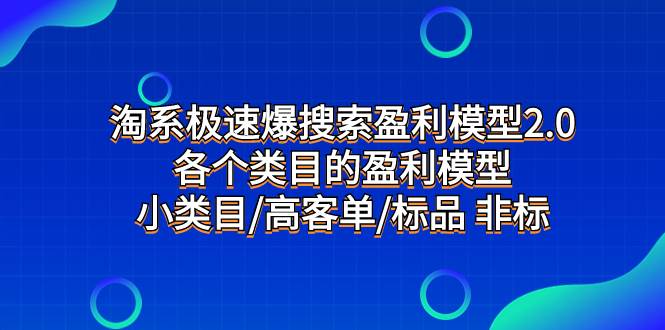 （7737期）淘系极速爆搜索盈利模型2.0，各个类目的盈利模型，小类目/高客单/标品 非标-讯领网创