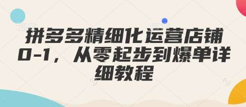 拼多多精细化运营店铺0-1，从零起步到爆单详细教程-讯领网创