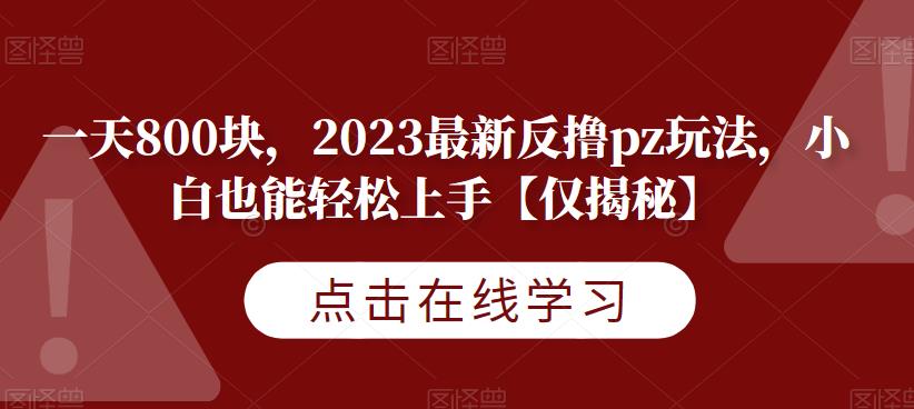 一天800块，2023最新反撸pz玩法，小白也能轻松上手【仅揭秘】-讯领网创