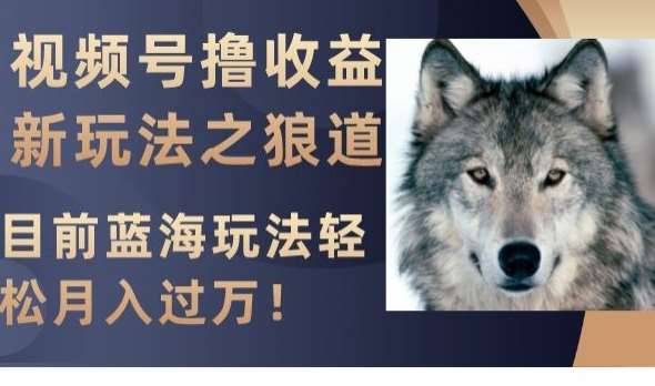 视频号撸收益新玩法之狼道，目前蓝海玩法，轻松月入过万【揭秘】-讯领网创