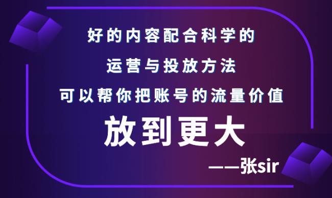 张sir账号流量增长课，告别海王流量，让你的流量更精准-62网赚