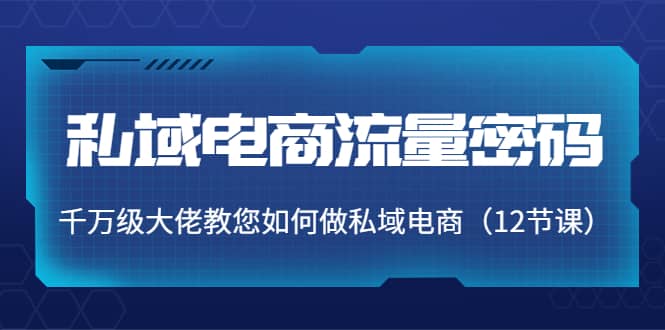 私域电商流量密码：千万级大佬教您如何做私域电商（12节课）-讯领网创