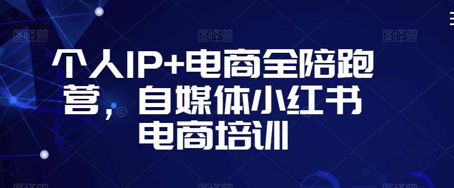 个人IP+电商全陪跑营，自媒体小红书电商培训-讯领网创