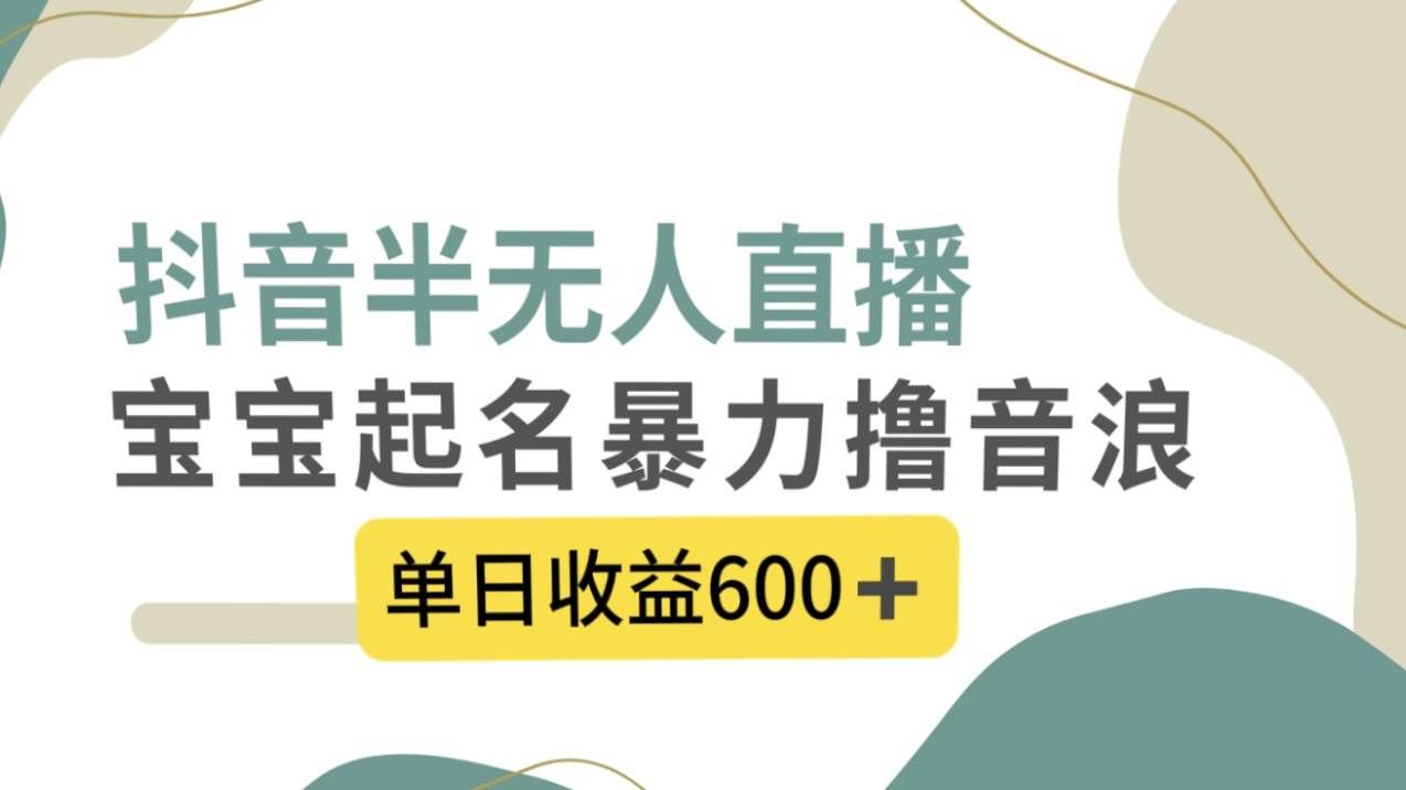 （8192期）抖音半无人直播，宝宝起名，暴力撸音浪，单日收益600+-讯领网创