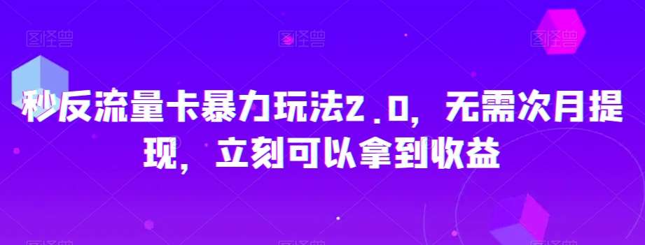 秒反流量卡暴力玩法2.0，无需次月提现，立刻可以拿到收益【揭秘】-讯领网创