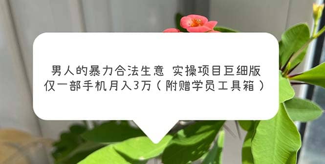 男人的暴力合法生意实操项目巨细版：仅一部手机月入3w（附赠学员工具箱）-讯领网创