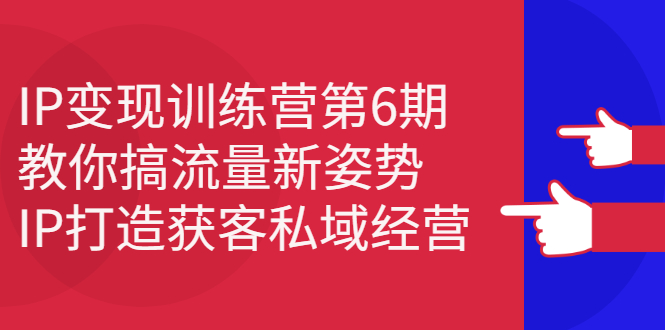 IP变现训练营第6期：教你搞流量新姿势，IP打造获客私域经营-讯领网创