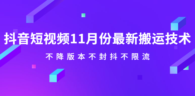 抖音短视频11月份最新搬运技术，不降版本不封抖不限流！【视频课程】-讯领网创