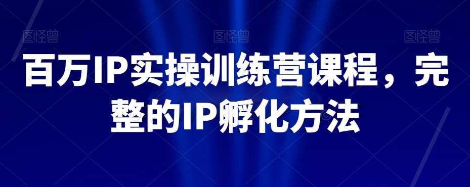 百万IP实操训练营课程，完整的IP孵化方法-讯领网创