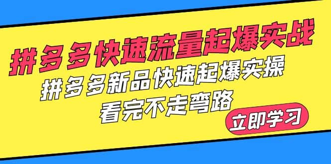 拼多多-快速流量起爆实战，拼多多新品快速起爆实操，看完不走弯路-讯领网创