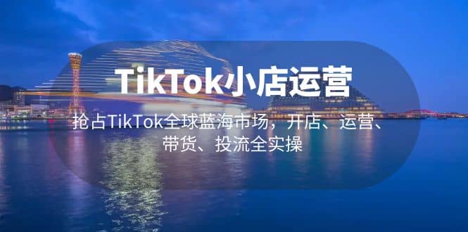 TikTok小店运营 抢占TikTok全球蓝海市场，开店、运营、带货、投流全实操-讯领网创