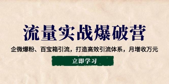 （14039期）流量实战爆破营：企微爆粉、百宝箱引流，打造高效引流体系，月增收万元-讯领网创