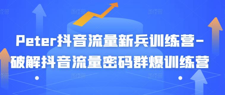 Peter抖音流量新兵训练营-破解抖音流量密码群爆训练营（新兵）-讯领网创