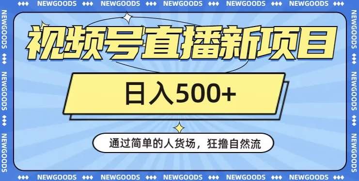 视频号直播新项目，通过简单的人货场，狂撸自然流，日入500+【260G资料】-讯领网创