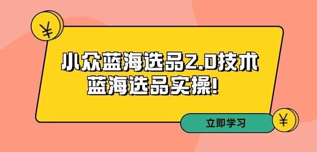 拼多多培训第33期：小众蓝海选品2.0技术-蓝海选品实操！-讯领网创