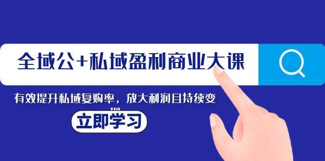 （8045期）全域公+私域盈利商业大课，有效提升私域复购率，放大利润且持续变现-讯领网创