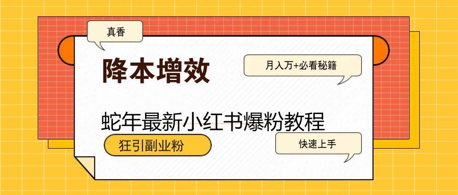 蛇年最新小红书爆粉教程，狂引副业粉，月入万+必看-讯领网创