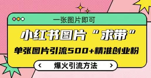 小红书图片‘求带’爆火引流法，单张图片引流500+精准创业粉【揭秘】-讯领网创