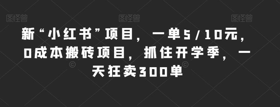 新“小红书”项目，一单5/10元，0成本搬砖项目，抓住开学季，一天狂卖300单【揭秘】-讯领网创