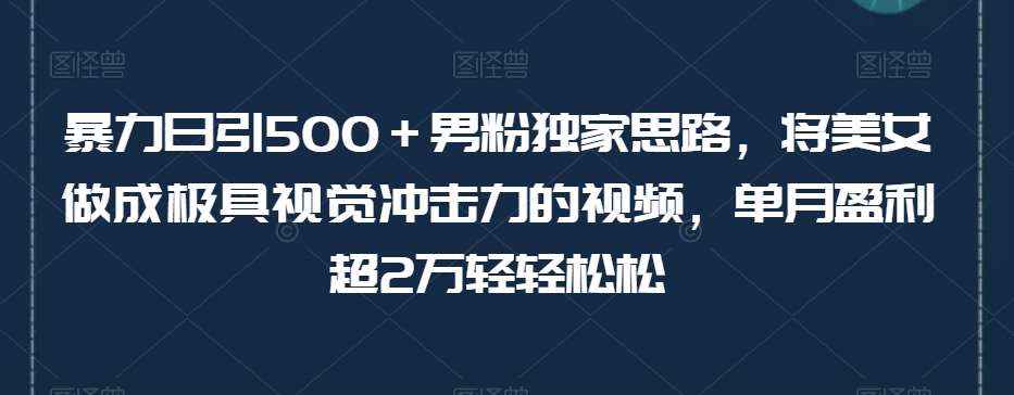 暴力日引500＋男粉独家思路，将美女做成极具视觉冲击力的视频，单月盈利超2万轻轻松松-讯领网创