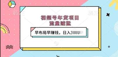 视频号年货项目，流量贼猛，早布局早挣钱，日入上k【揭秘】-讯领网创