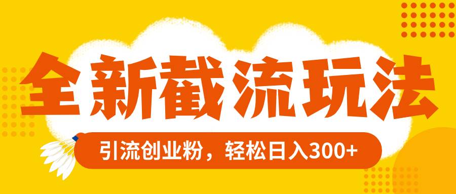 （8025期）全新截流玩法，精准引流创业粉，轻松日入300+-讯领网创