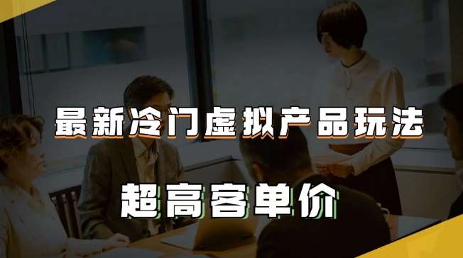最新冷门虚拟产品玩法，超高客单价，月入2-3万＋【揭秘】-讯领网创