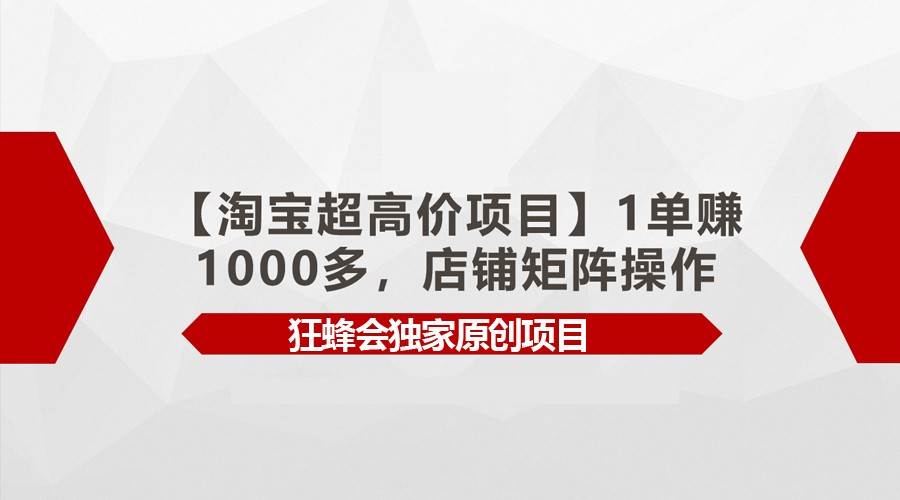 【淘宝超高价项目】1单赚1000多，店铺矩阵操作-讯领网创