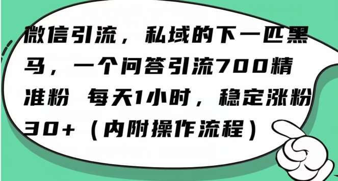 怎么搞精准创业粉？微信新赛道，每天一小时，利用Ai一个问答日引100精准粉-讯领网创