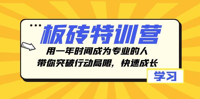 （8048期）板砖特训营，用一年时间成为专业的人，带你突破行动局限，快速成长-讯领网创