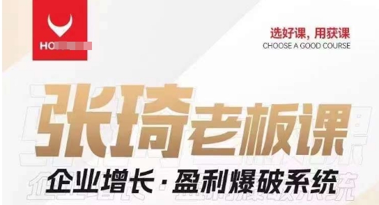 【组合课】张琦张琦老板企业增长·盈利爆破系统（直播专享）-讯领网创