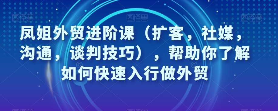 凤姐外贸进阶课（扩客，社媒，沟通，谈判技巧），帮助你了解如何快速入行做外贸-讯领网创