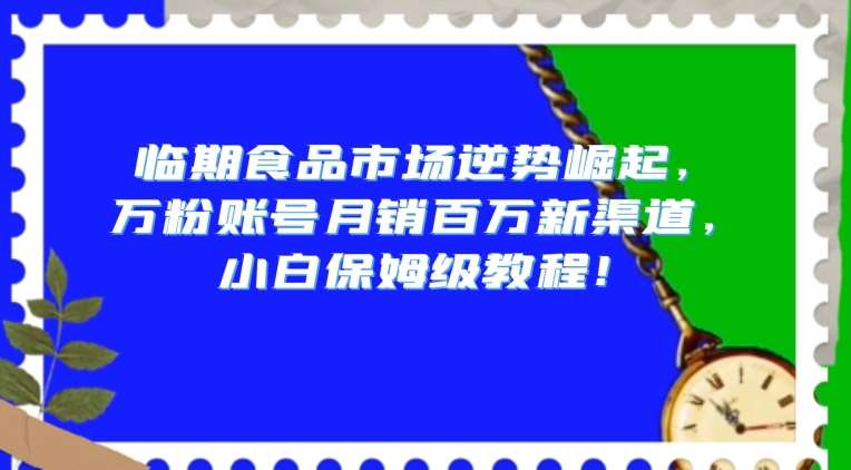 临期食品市场逆势崛起，万粉账号月销百万新渠道，小白保姆级教程【揭秘】-讯领网创