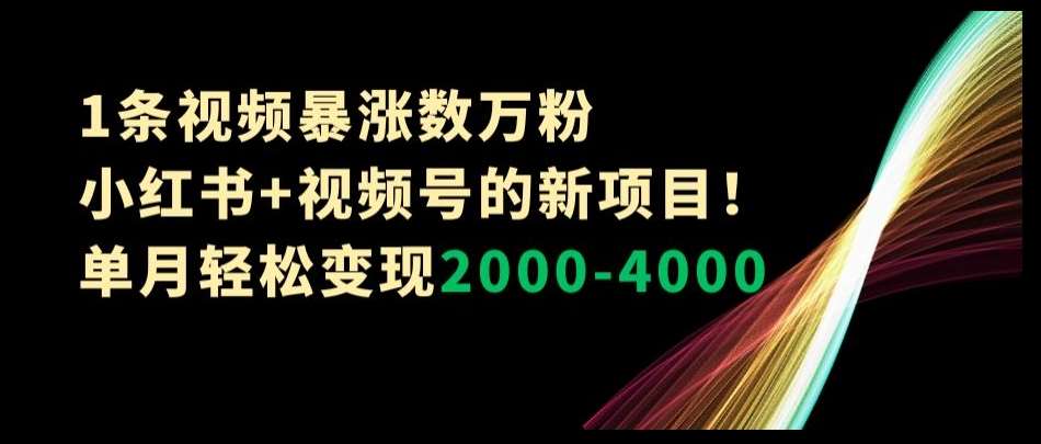 1条视频暴涨数万粉–小红书+视频号的新项目！单月轻松变现2000-4000【揭秘】-讯领网创
