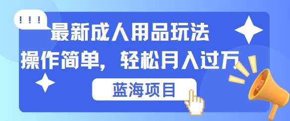 最新成人用品项目玩法，操作简单，动动手，轻松日入几张【揭秘】-讯领网创
