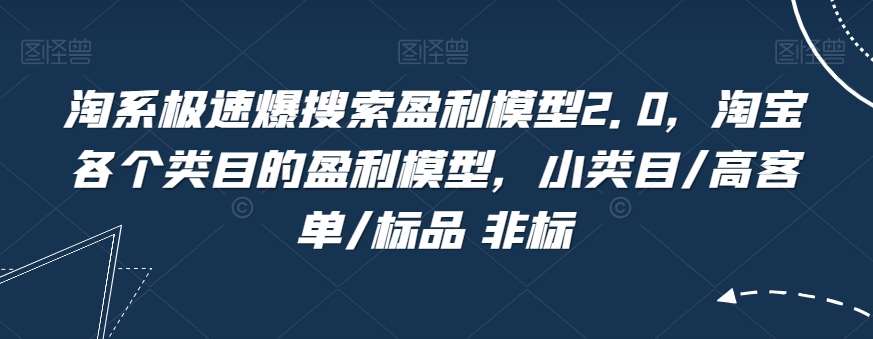 淘系极速爆搜索盈利模型2.0，淘宝各个类目的盈利模型，小类目/高客单/标品 非标-讯领网创