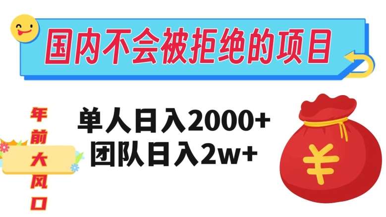 在国内不怕被拒绝的项目，单人日入2000，团队日入20000+【揭秘】-讯领网创