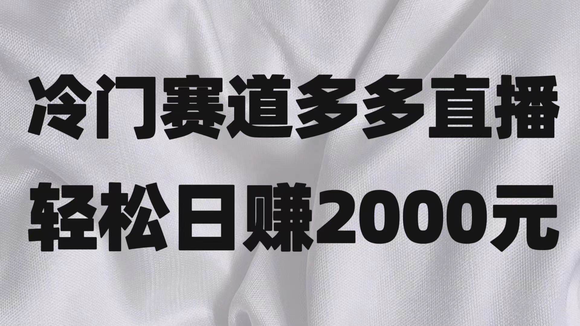 冷门赛道拼多多直播项目，简单念稿子，日收益2000＋-讯领网创