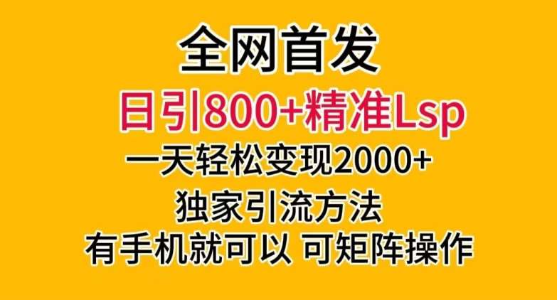 全网首发！日引800+精准老色批，一天变现2000+，独家引流方法，可矩阵操作【揭秘】-讯领网创