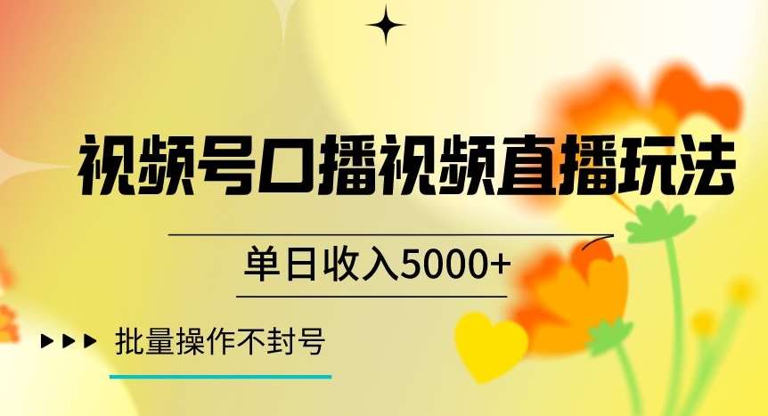 视频号囗播视频直播玩法，单日收入5000+，批量操作不封号【揭秘】-讯领网创