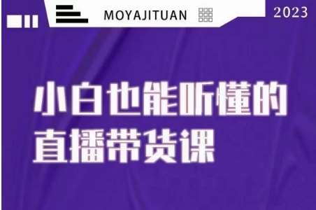 大威本威·能听懂的直播带货课，小白也能听懂，20节完整-讯领网创