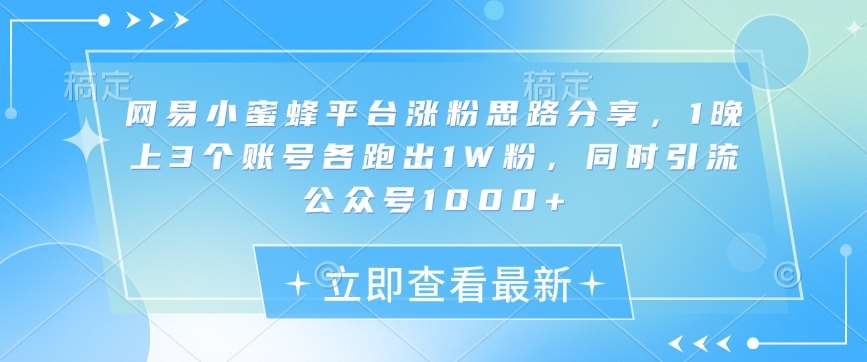 网易小蜜蜂平台涨粉思路分享，1晚上3个账号各跑出1W粉，同时引流公众号1000+-讯领网创