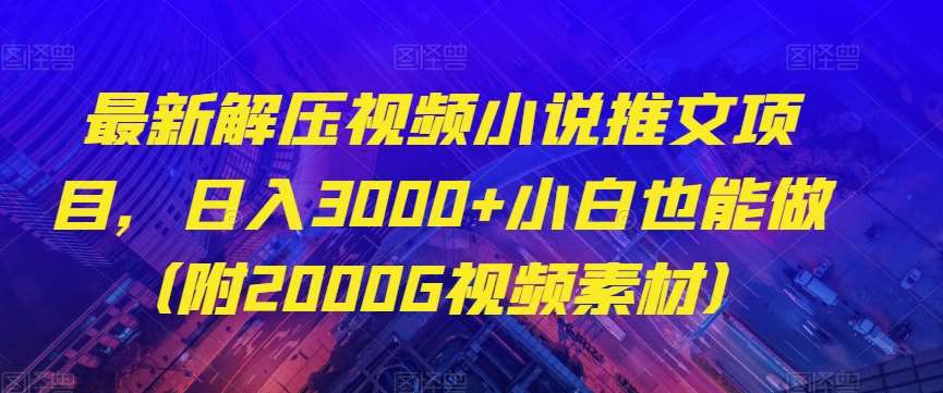最新解压视频小说推文项目，日入3000+小白也能做（附2000G视频素材）【揭秘】-讯领网创