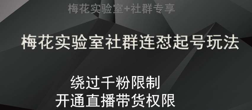 梅花实验室社群连怼起号玩法，视频号绕过千粉限制，开通直播带货权限【揭秘】-讯领网创