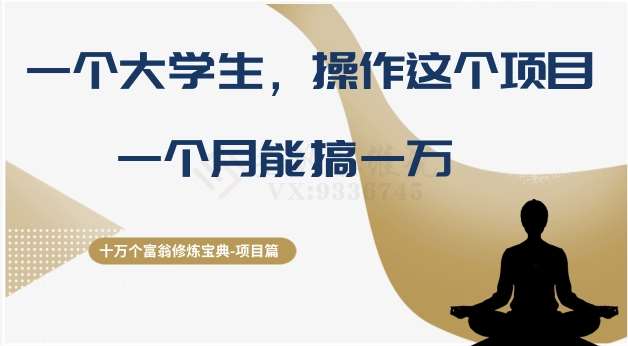 十万个富翁修炼宝典之4.一个大学生操作这个项目，一个月能搞一万-讯领网创