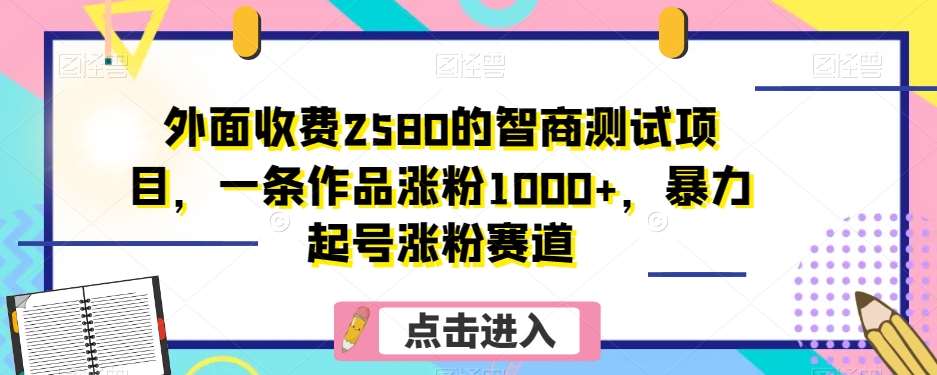 外面收费2580的智商测试项目，一条作品涨粉1000+，暴力起号涨粉赛道【揭秘】-讯领网创