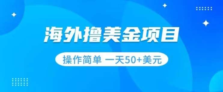撸美金项目无门槛操作简单小白一天50+美刀-讯领网创