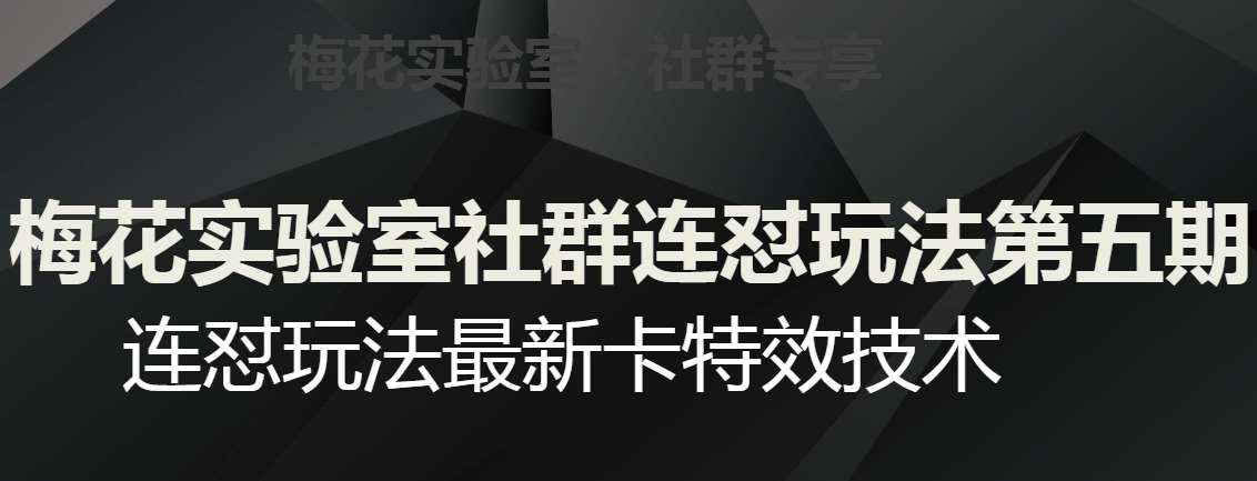 梅花实验室社群连怼玩法第五期，视频号连怼玩法最新卡特效技术-讯领网创